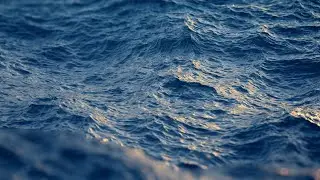 Phantom Blue | Shutterstock 2020 Color Trends