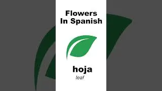 Learn Spanish - Flowers (SimpleSpanish)
