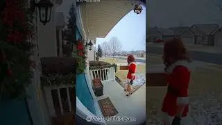 Caught in 4K: Doorbell Cam Catches Crazy Porch Pirate Fail 🤣📦 #funny #short #viralvideo #fail