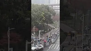 Welcome snow from Shanghai #snow #winter #travel #china #subscribe #shorts