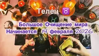 Телец ♉️ таро и астро прогноз с 9 по 15 февраля 2026 года 