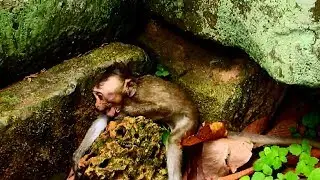 terrify David angry mum till falling down , Mum careless even baby has got problem, Poor baby