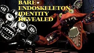 BARE ENDOSKELETON IDENTITY REVEALED (Theory)