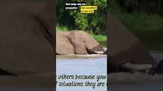 Don't judge only one perspective|Shorts