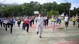 MESTRE CHEN BING - O TAI CHI ESTILO CHEN. Fangsong Gong (relaxamento)