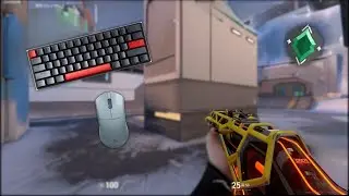 0.2, 800dpi ~Death Match~