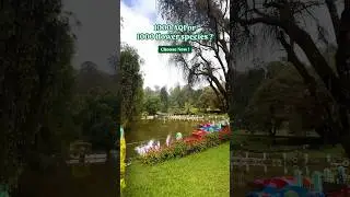 Pick now: 1000 AQI in the city or 1000 flower species just 100 meters from your Neemrana in Coonoor.