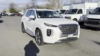 2020 Hyundai Palisade Limited Sterling, Leesburg, Vienna, Chantilly, Fairfax