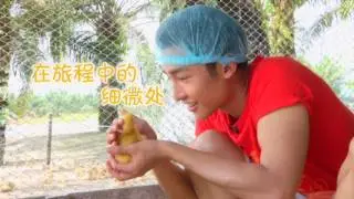Astro {Budget Go Cuti}~Summer Bay Resort, Lang Tengah Island~浪中岛旅游节目- part 2
