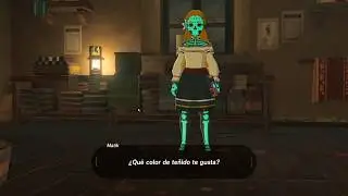 &ldquo;Zelda&rsquo;s Ballad&rdquo; Radiant Armor