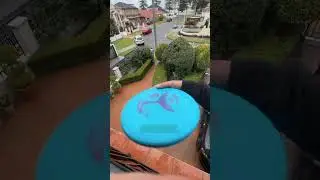 Frisbee VS Flying Spinner 🛸