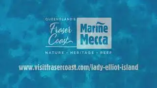 Lady Elliot Island - Fraser Coast's Marine Mecca
