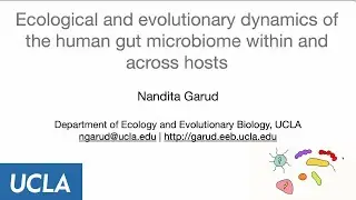 EEB Departmental Seminar Series: Nandita Garud