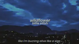 billie eilish - wildflower (slowed + reverb) [with lyrics]