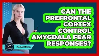 Can The Prefrontal Cortex Control Amygdala Fear Responses? - Face Your Phobias