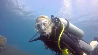 Niveau 1 ANMP/CEDIP Laure Colin Abyss dive center Amed Bali