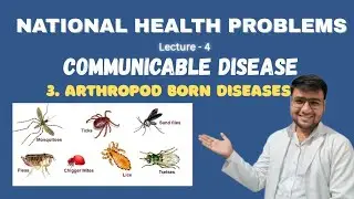 Arthropod borne diseases | Mosquito borne diseases | Vector borne diseases | Nursing