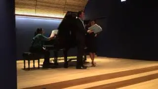 Mark Markham master class - April 16, 2016 at Opera America - Part 2
