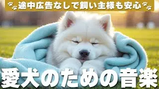 犬が落ち着く音楽 (12時間広告なし) 🐶 犬が好きな音楽 | 雷対策 / vol.733