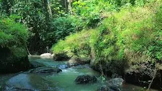 Sound of River Stream &ndash; Moss Glen &mdash; no noise, only flow.
