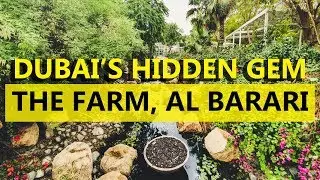 The Farm Al Barari Dubai - A Hidden Gem in Dubai - Dubai Whereabouts