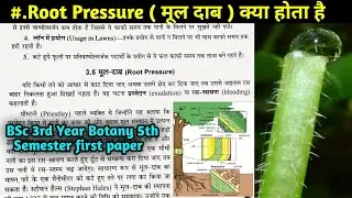 Root Pressure in hindi || Plant Physiology || BSc 3rd year Botany 5th Semester first paper