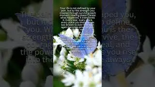 Heal your soul ❤️&zwj;🩹🦋 #reclaimyourlife #reclaimyourpower #reclaimyourself