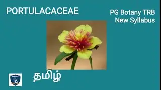 Portulacaceae in Tamil |Taxonomy and Systematics | Botany I PG TRB New Syllabus