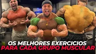 Os ÚNICOS EXERCICIOS que você PRECISA para cada GRUPO MUSCULAR!