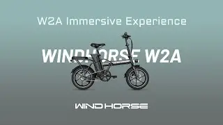 Windhorse Lab | W2A Immersive Experience