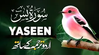 Surah Yaseen with Urdu Translation | Heart-Touching Tilawat by Qari Mansoor Ghaznavi | Ep020