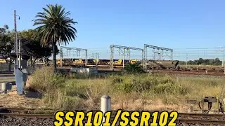 *4K IMPROVED* Chullora Enfield Yard Action! #trains #australia #4k