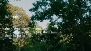 Say The Thing Gardens Meditations: Remember