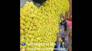 Alphanso Export. Contact us to Import fruits and vegetables. #fruitexport #vegetableexport #exporter