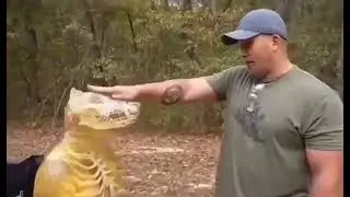 Whos that good boy?