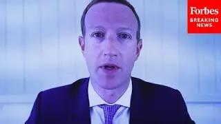 Facebook Whistleblower Makes Damning Allegation Against Mark Zuckerberg During Senate Hearing