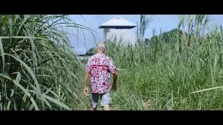 Fa'ahotu 2 : La canne à sucre