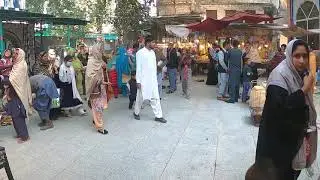 Facts About Shah Dola