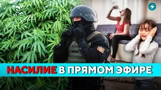 Плантация конопли на Гомельщине и изверг из Верхнедвинска // Новости