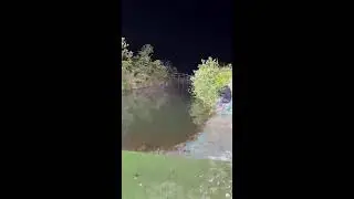 Jose Wright Live Stream