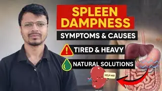 Spleen Dampness Explained , with Natural Solution. 