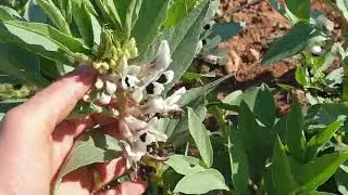 جولة في المزرعة الصغيرة 😍 ماشاء الله 