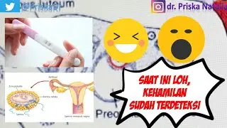 Kapan Kehamilan Terjadi? Kapan Test Pack Bisa Dilakukan?