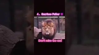The most dangerous lion ☠️ #shorts #animals #lion #viral #viralvideo