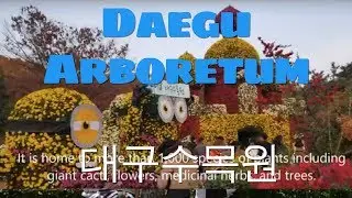Daegu Arboretum (대구수목원)  [UHD Quality]