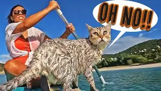 Snorkeling Adventure GOES WRONG in Salt Pond Beach! 🏄&zwj;♀️😳🐈 (Hiking Ram Head Trail, St. John)