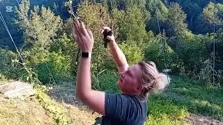 Došle smo u vrtlic da vidimo imal sta za salate a iznenadile smo se sta smo nasle