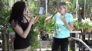Tips on Splitting Orchids and Oncidium Culture