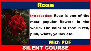 Essay on Rose In English | Rose Essay In English | Essay on Rose Flower In English