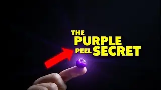Harvard Researchers Stunned by 